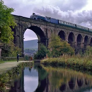 Wharmton Luxury Dobcross